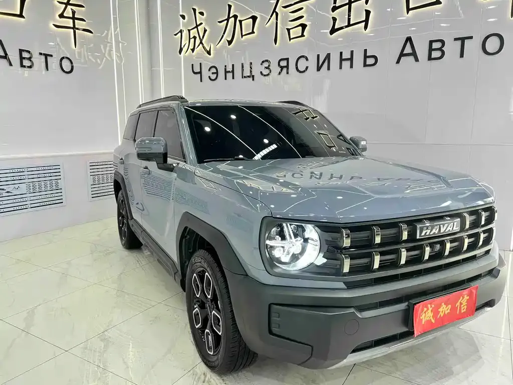 Haval Cool Dog 2023 из CN, фото 3