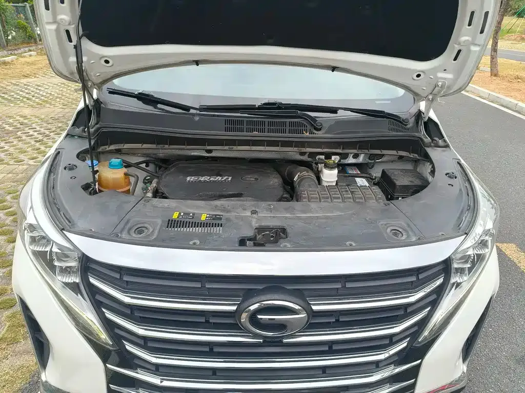 GAC Motor Trumpchi M8 2022 из CN, фото 3