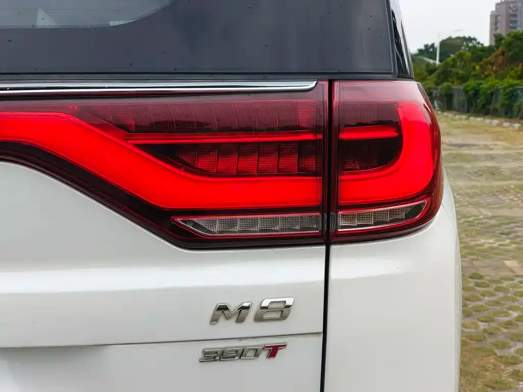 GAC Motor Trumpchi M8 2022 из CN, фото 4