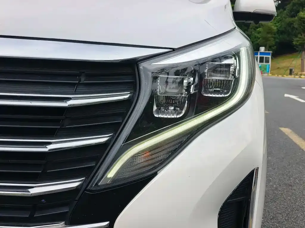 GAC Motor Trumpchi M8 2022 из CN, фото 2