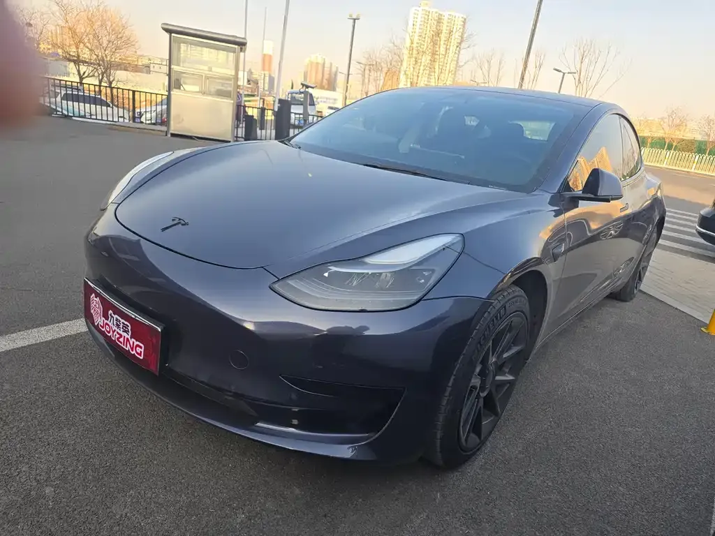 Tesla Model 3 2021 из CN, фото 1