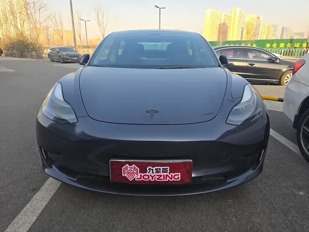 Tesla Model 3 2021 из CN, фото 3