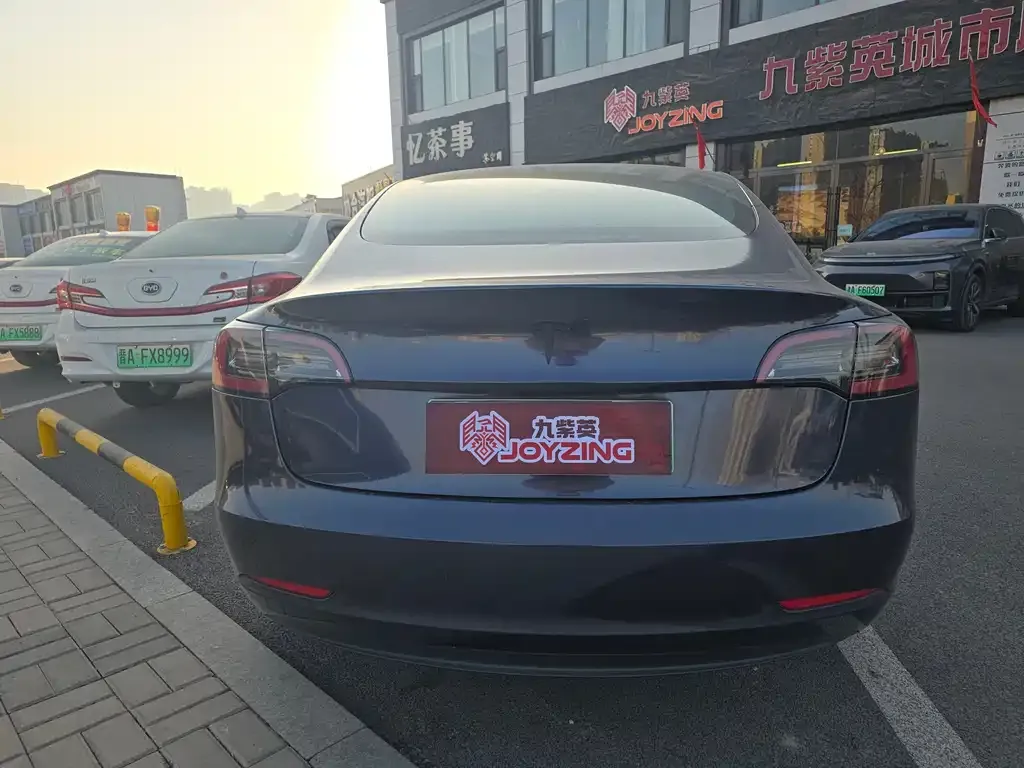 Tesla Model 3 2021 из CN, фото 6