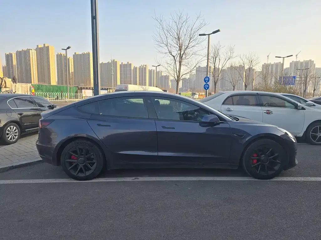 Tesla Model 3 2021 из CN, фото 5