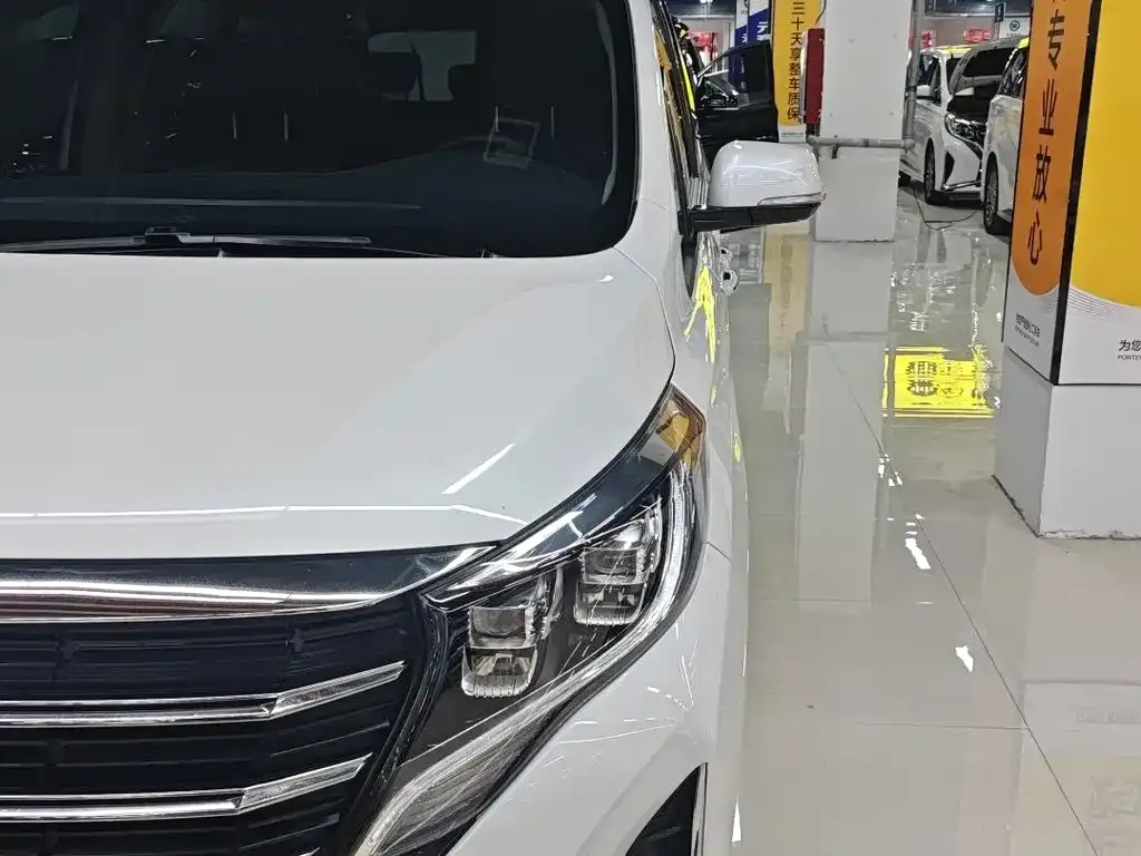 GAC Motor Trumpchi M8 2024 из CN, фото 10