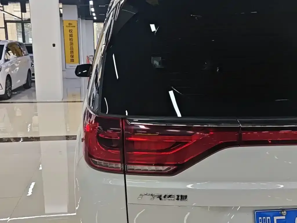 GAC Motor Trumpchi M8 2024 из CN, фото 9