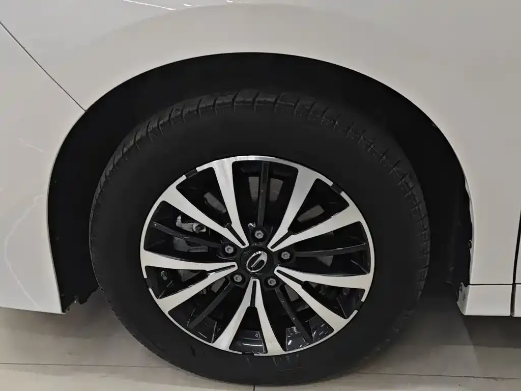 GAC Motor Trumpchi M8 2024 из CN, фото 2