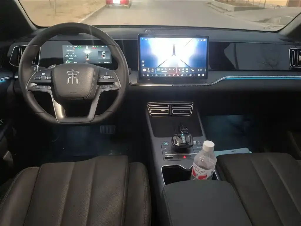 BYD Pro New Energy 2025 из CN, фото 4