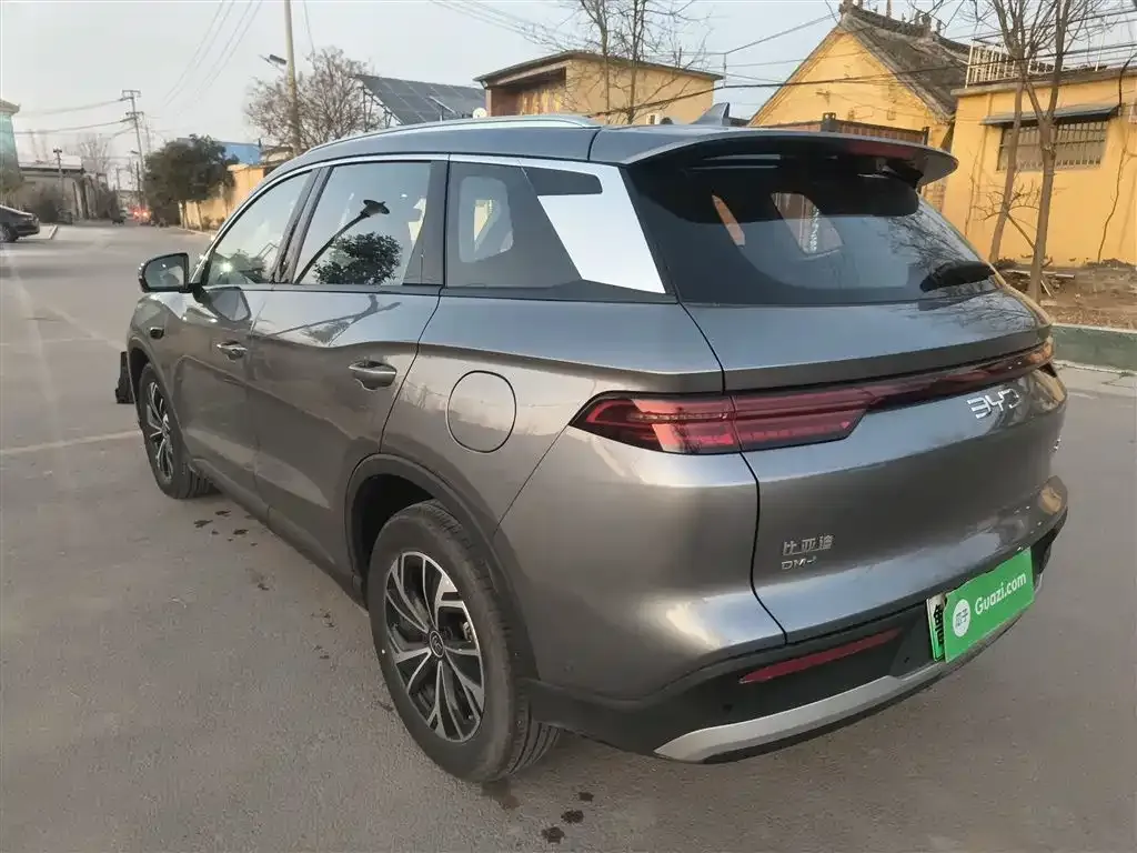 BYD Pro New Energy 2025 из CN, фото 10