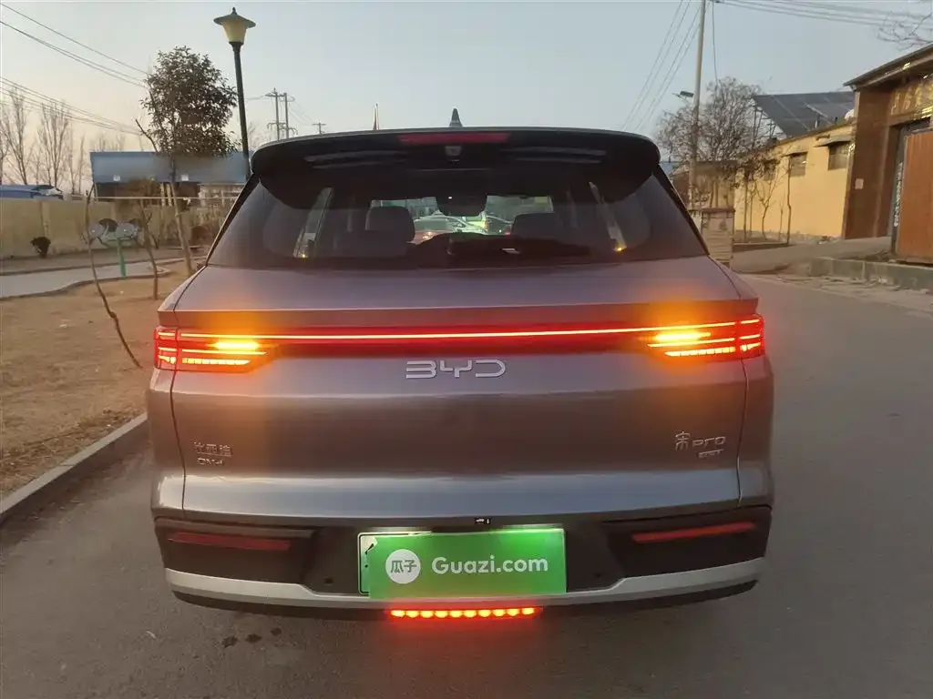 BYD Pro New Energy 2025 из CN, фото 8