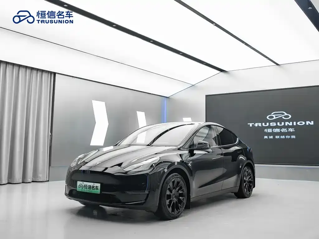Tesla Model Y 2021 из CN, фото 1