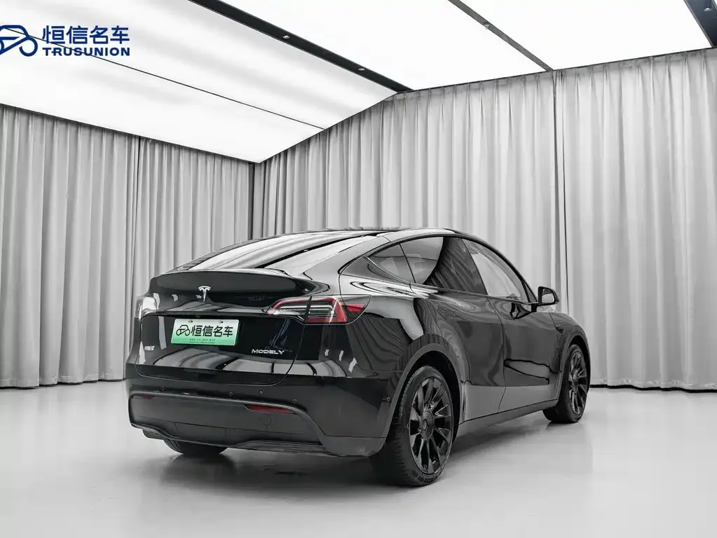 Tesla Model Y 2021 из CN, фото 10