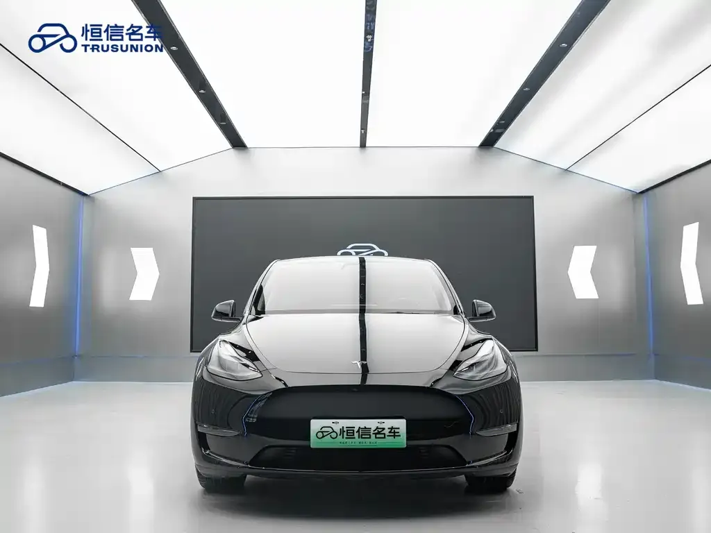 Tesla Model Y 2021 из CN, фото 2