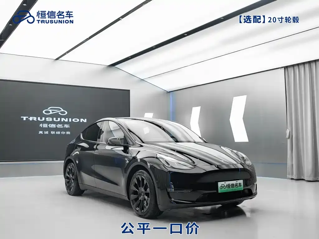 Tesla Model Y 2021 из CN, фото 5
