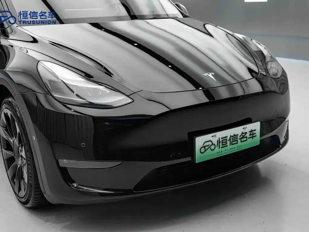 Tesla Model Y 2021 из CN, фото 3