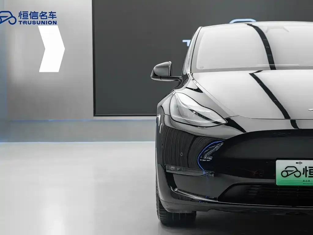 Tesla Model Y 2021 из CN, фото 9