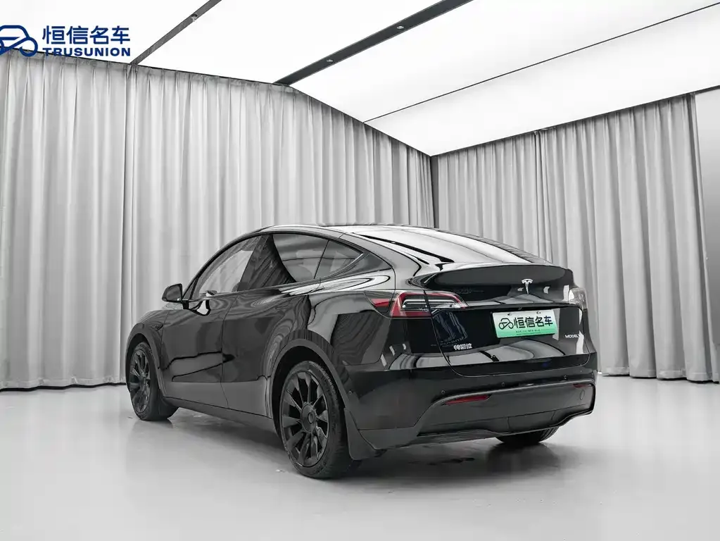 Tesla Model Y 2021 из CN, фото 6