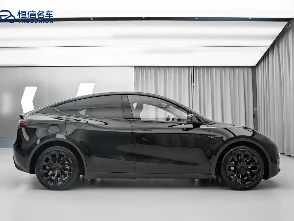 Tesla Model Y 2021 из CN, фото 7