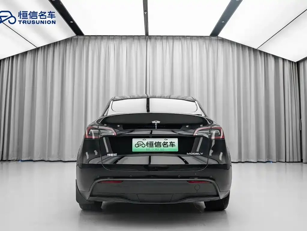 Tesla Model Y 2021 из CN, фото 8