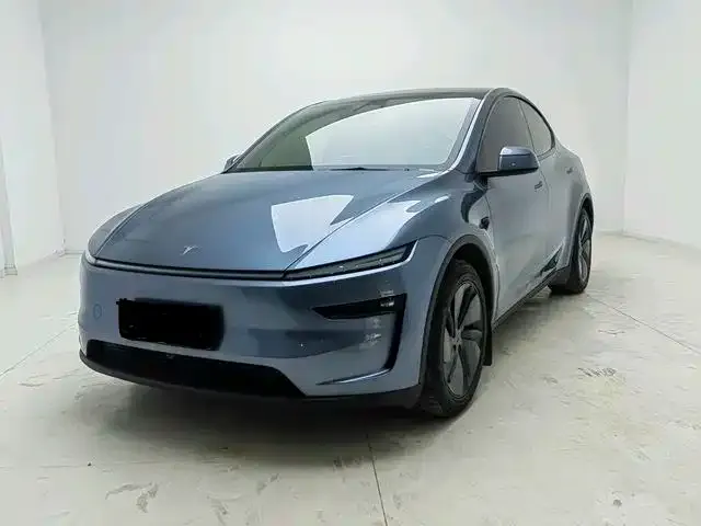 Tesla Model Y 2025 из CN, фото 1