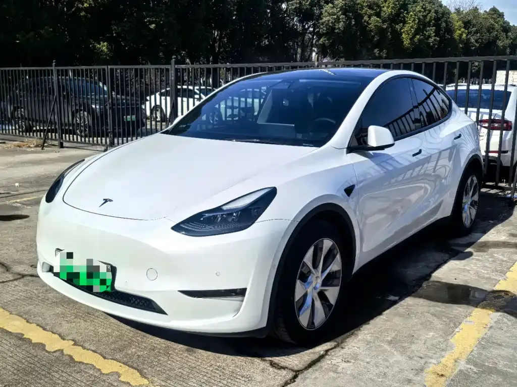 Tesla Model Y 2022 из CN, фото 1