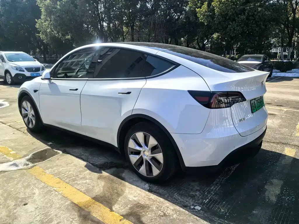 Tesla Model Y 2022 из CN, фото 7