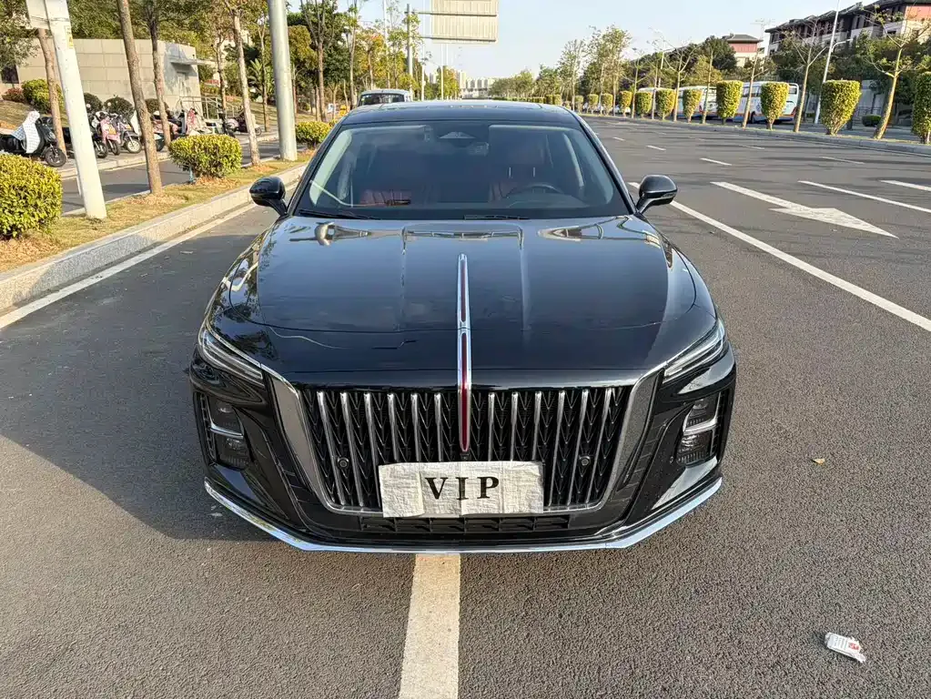 Hongqi H5 2023 из CN, фото 10