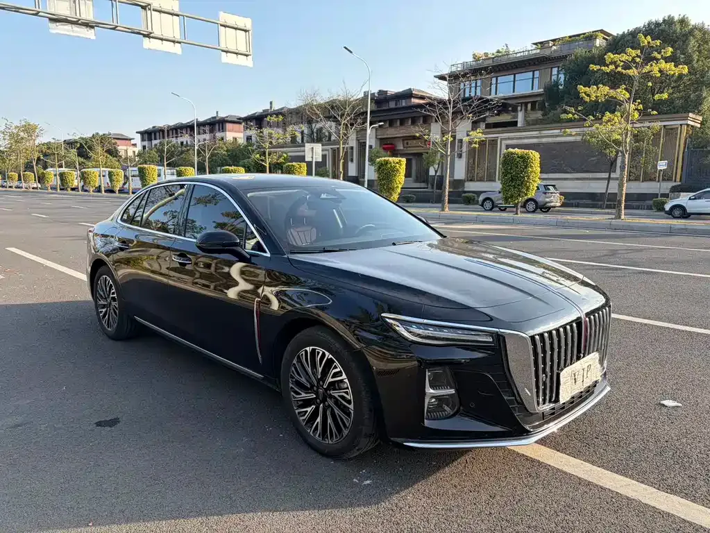 Hongqi H5 2023 из CN, фото 3
