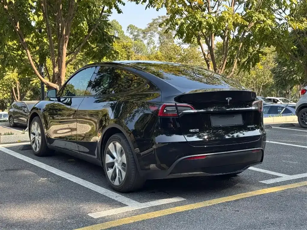 Tesla Model Y 2023 из CN, фото 9
