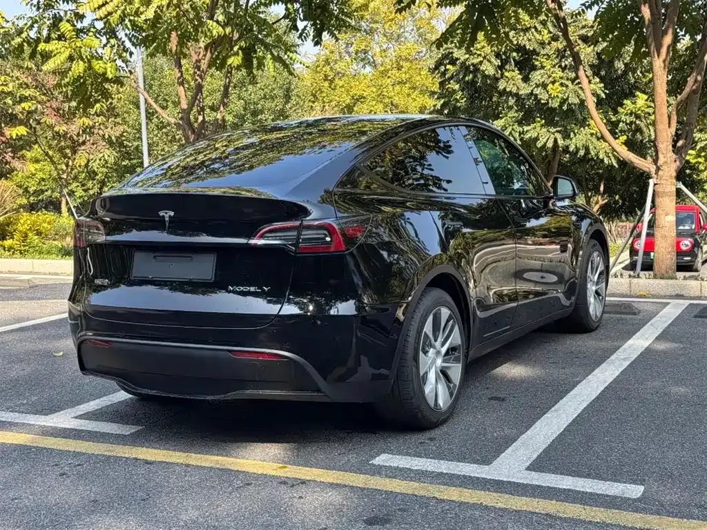 Tesla Model Y 2023 из CN, фото 8