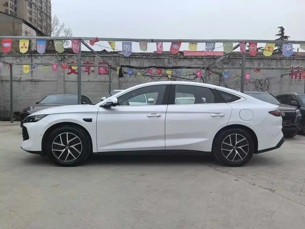 BYD Qin L — фото 8