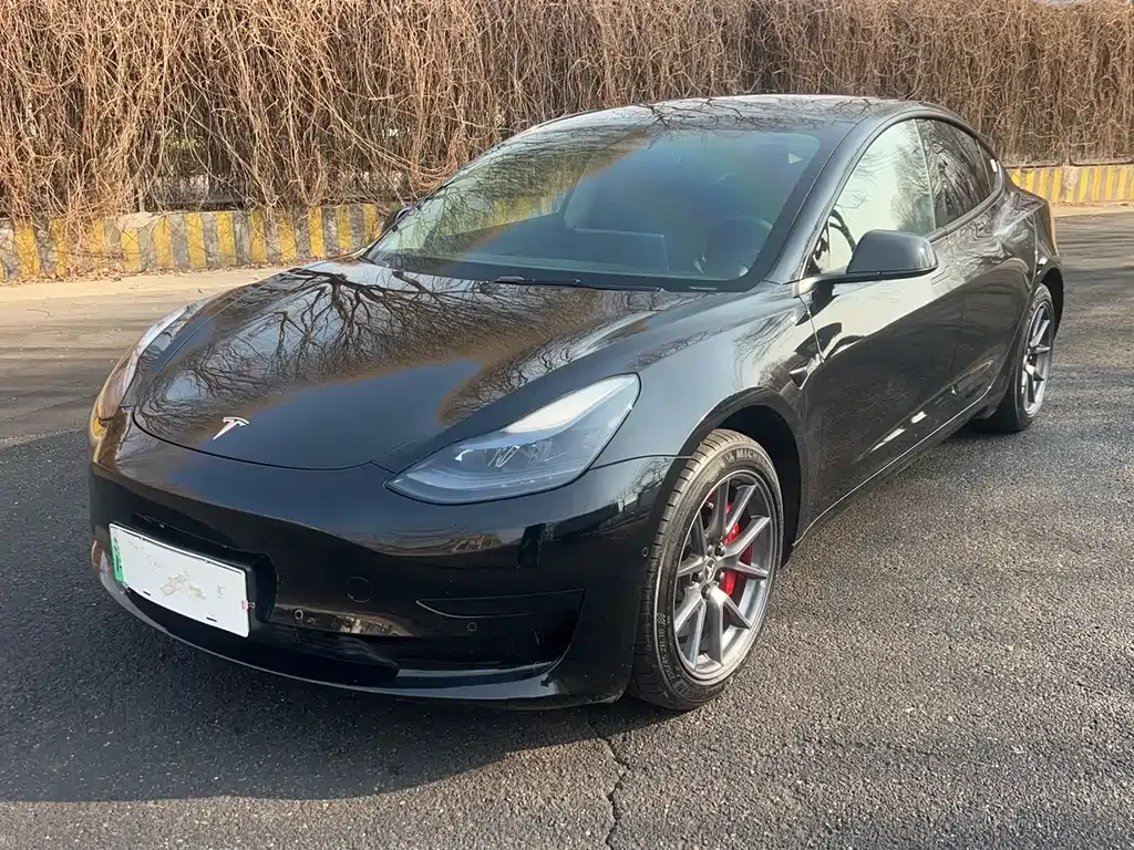 Tesla Model 3 2023 из CN, фото 1