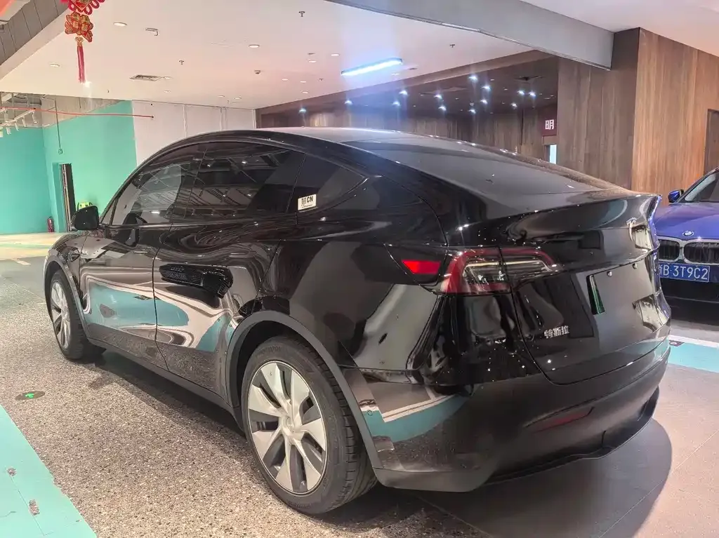 Tesla Model Y — фото 10
