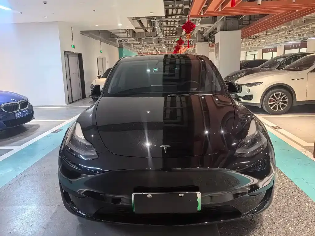 Tesla Model Y — фото 9