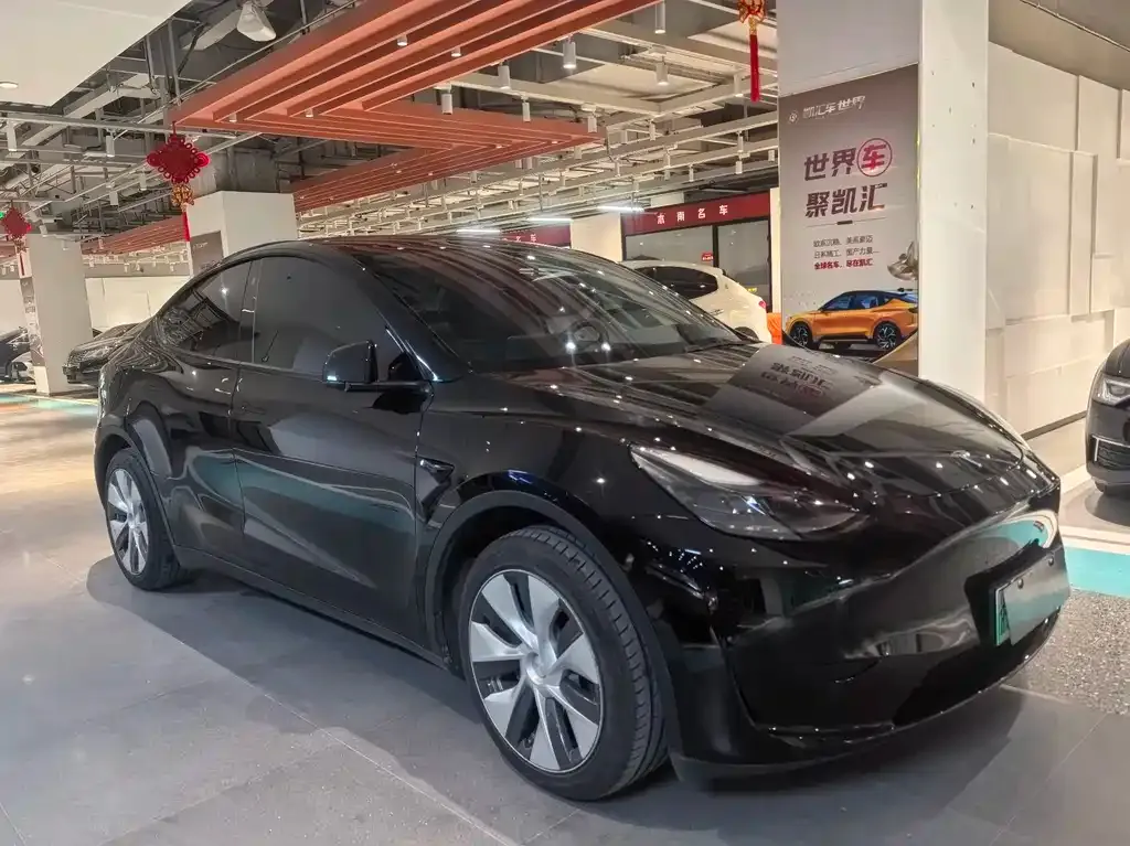 Tesla Model Y — фото 8