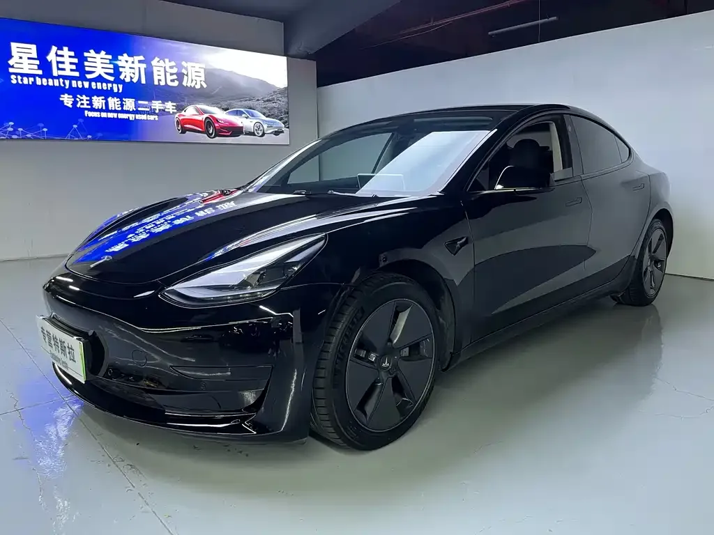 Tesla Model 3 2021 из CN, фото 1