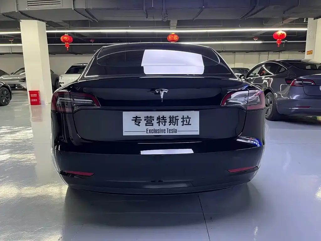 Tesla Model 3 2021 из CN, фото 4