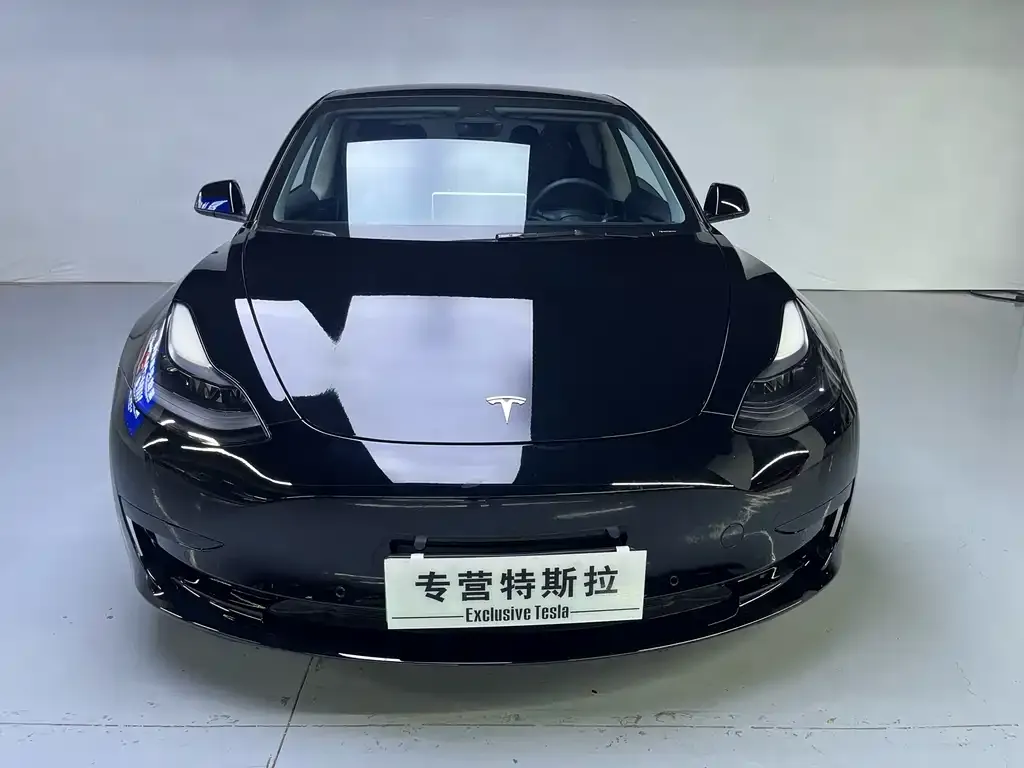 Tesla Model 3 2021 из CN, фото 9
