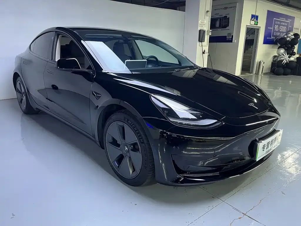 Tesla Model 3 2021 из CN, фото 7