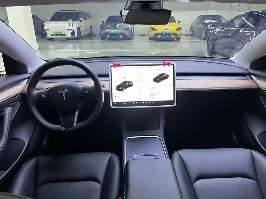 Tesla Model 3 2021 из CN, фото 6