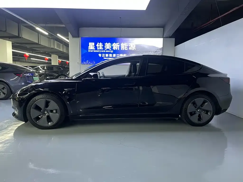 Tesla Model 3 2021 из CN, фото 5