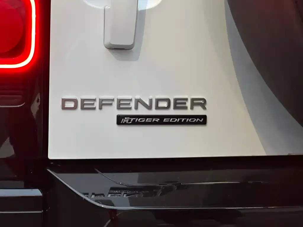 Land Rover Defender 2022 из CN, фото 4