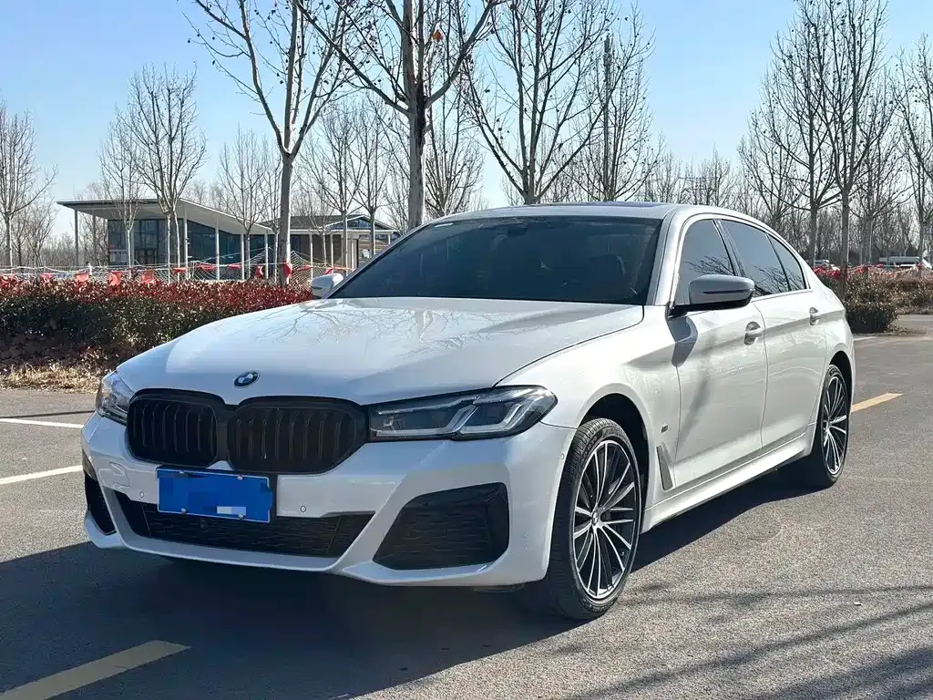 BMW 5 Series 2023 из CN, фото 1