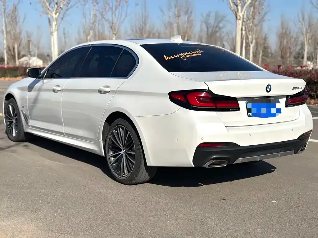 BMW 5 Series 2023 из CN, фото 10