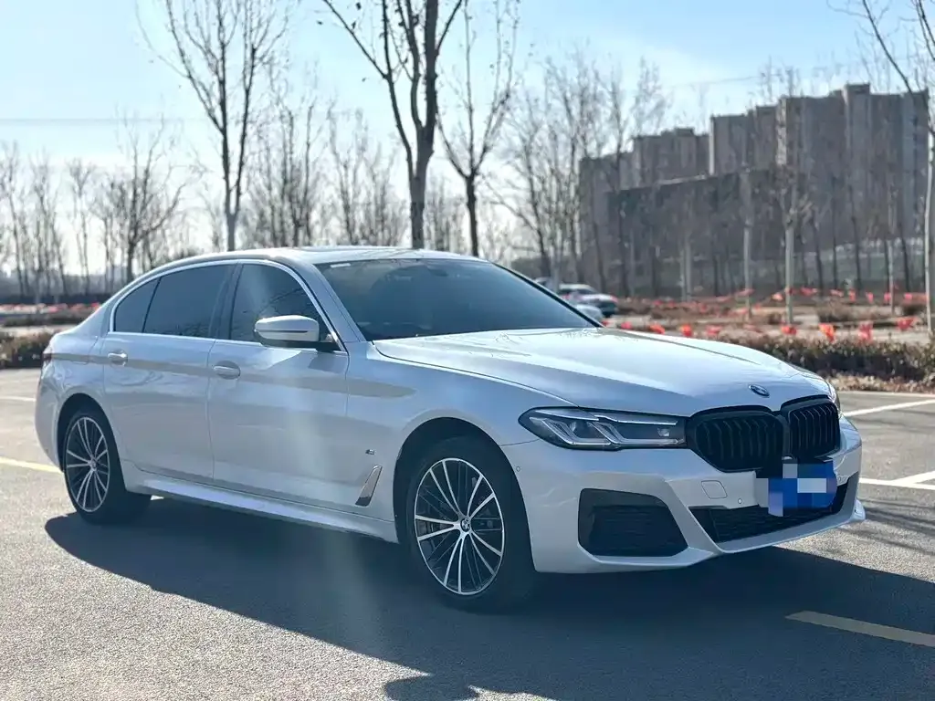 BMW 5 Series 2023 из CN, фото 5