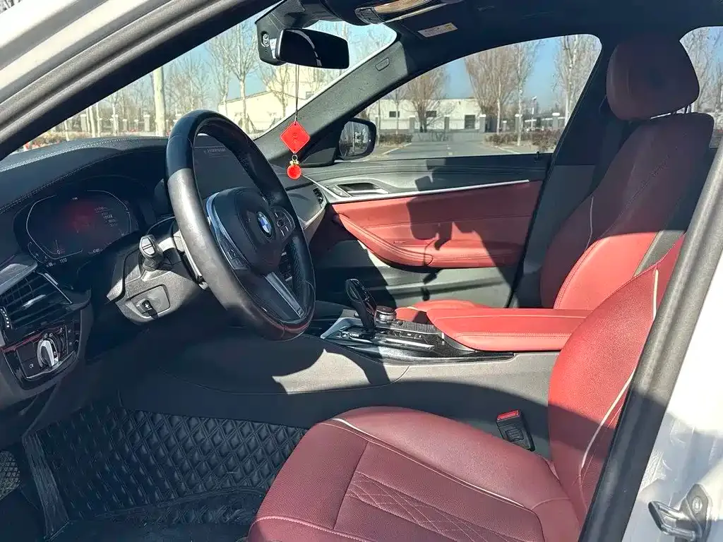 BMW 5 Series 2023 из CN, фото 4