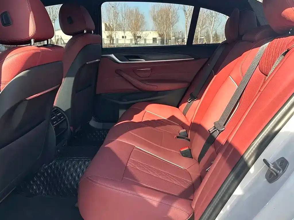 BMW 5 Series 2023 из CN, фото 3