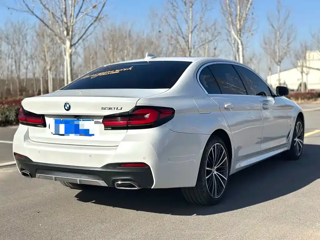 BMW 5 Series 2023 из CN, фото 7