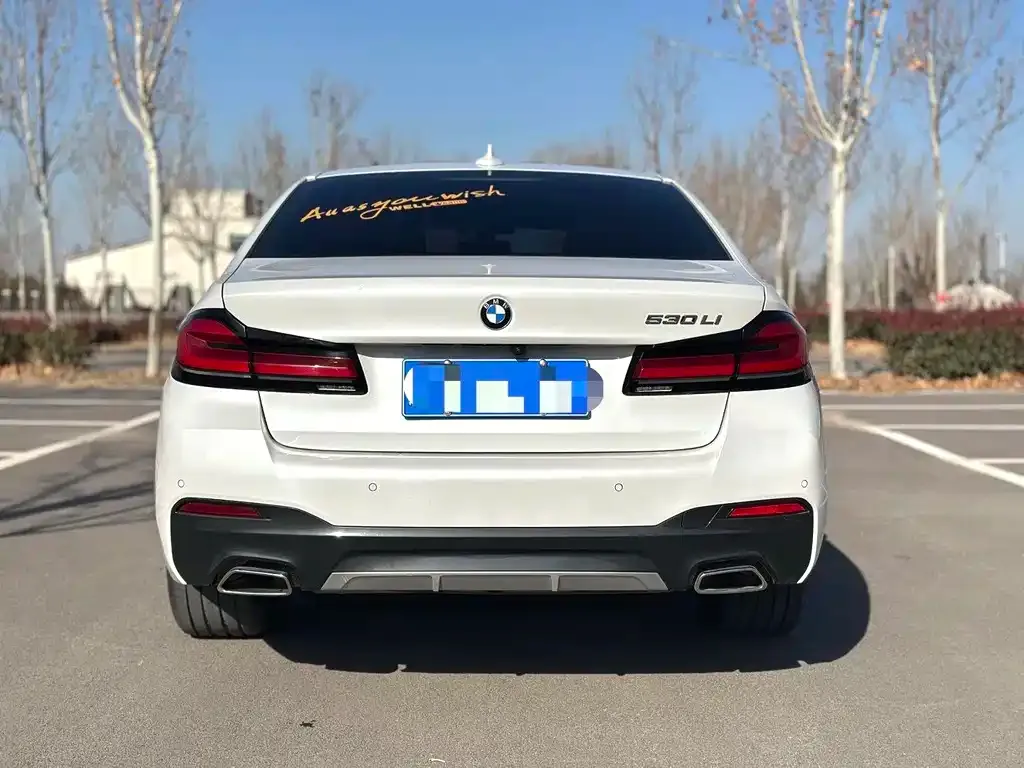 BMW 5 Series 2023 из CN, фото 8