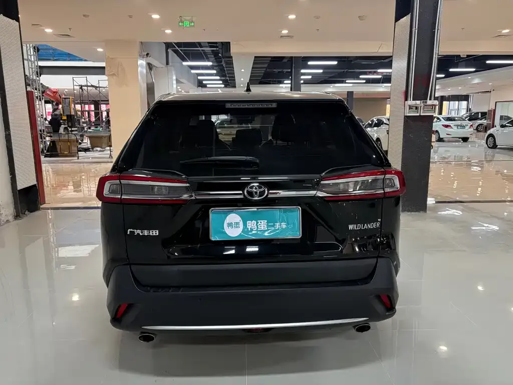 Toyota Wildlander 2021 из CN, фото 6